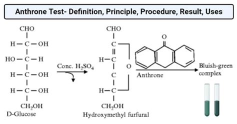 anthrone test|anthrone reagent preparation.